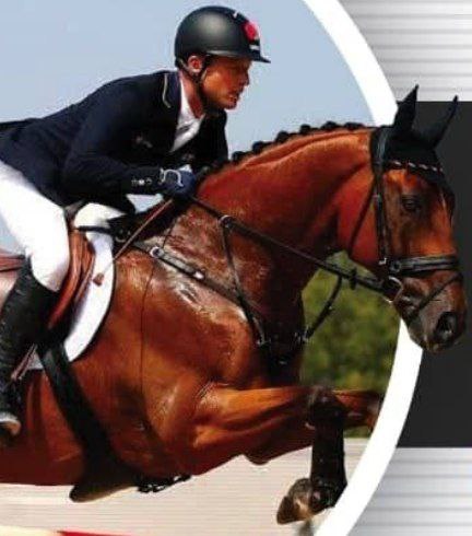 مسابقات اسب سواری